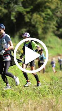 BIB:  <button type="button" onclick="openModal(26566998)" class="btn btn-primary btn-sm float-right" data-toggle="modal" data-target=".modal-high-quality">
                <i class="fa fa-download"></i> Download
                </button>